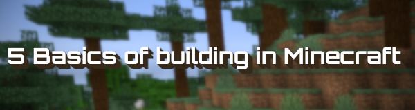 5 Basics of building in Minecraft pic.